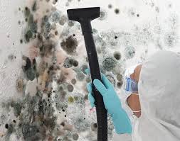 Reliable Fish Hawk, FL Mold Removal & Remediation Solutions